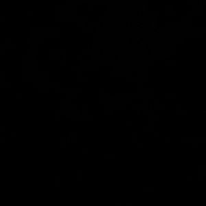 Meet your Posher, Bridget